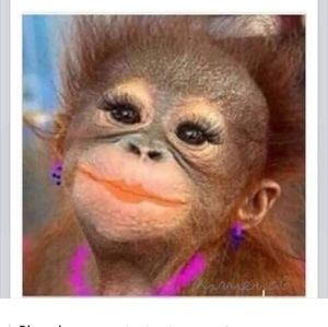 Meet your Posher, Joanna